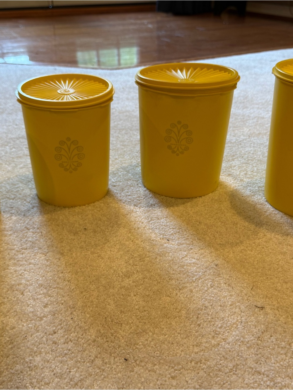Tupperware Gold Canister Set (4 pieces)